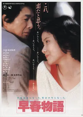 高清电影《雾港回声》在线观看